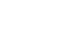 Blue Flower Icon